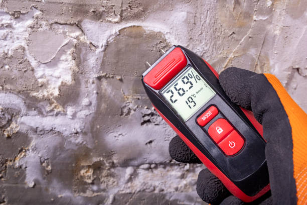Best Mold Remediation Experts  in Verona, WI